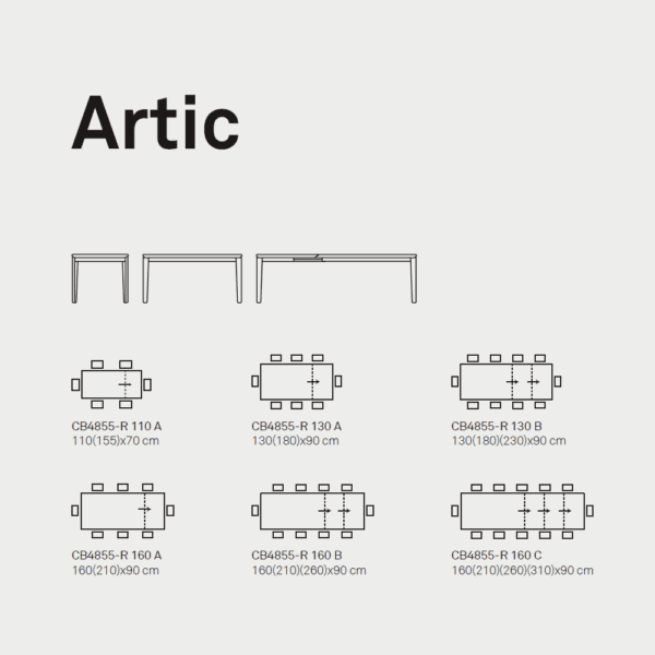 ARTIC - Image 6